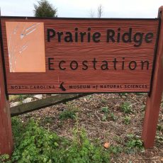 Prairie Ridge and Lake Crabtree Prairie Ridge and Lake Crabtree