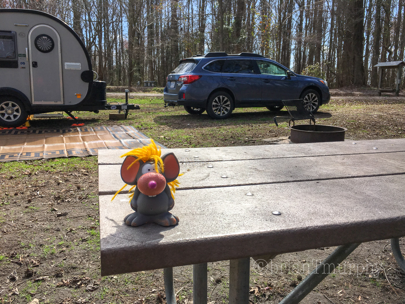 Beppu at Pettigrew State Park campsite