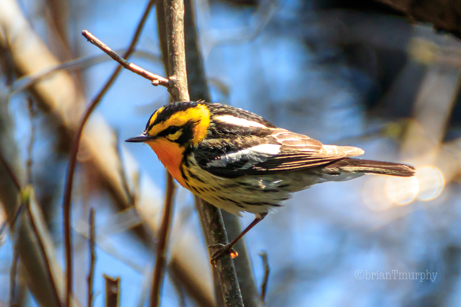 Echo Lake, Marquette, Michigan