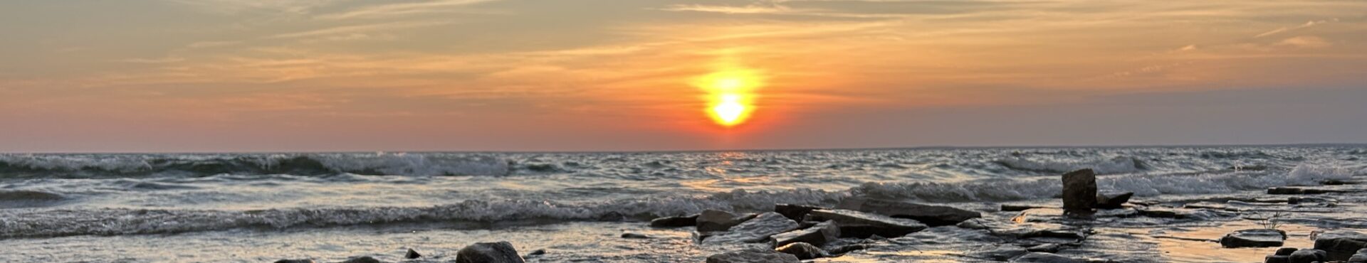 Wild Places, Wild Birds