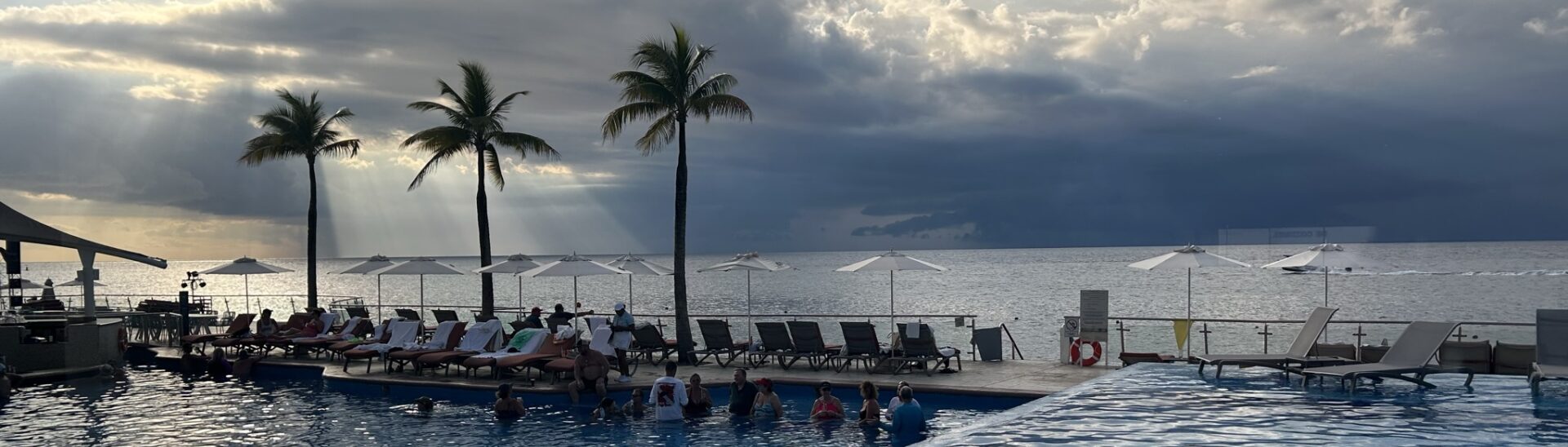 Category: bird sounds